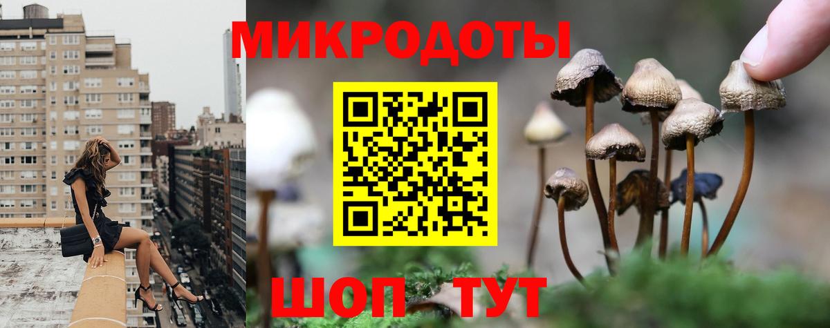 Лесной  Псилоцибиновые грибы GOLDEN TEACHER  Галлюциногенные грибы GOLDEN TEACHER  Вход с VPN 
